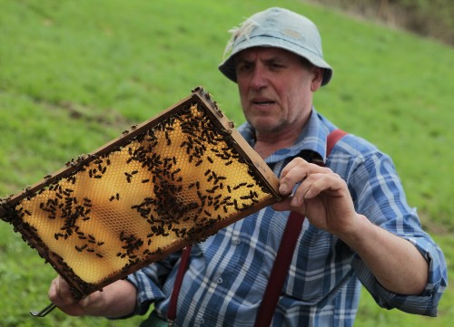 Exkurze po farmách