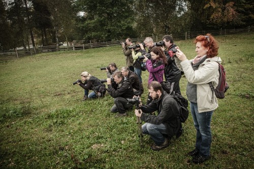 Workshop Kreativní fotografie 2 – Licoměrsko