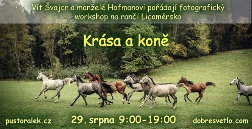 Workshop Krása a koně