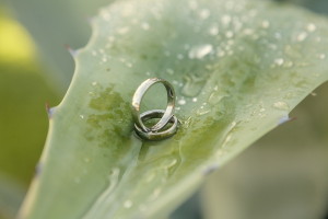 Svatba Zuzka & Roman