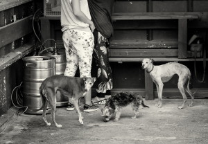 Svatba Zuzka & Roman