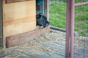 Svatba Zuzka & Roman