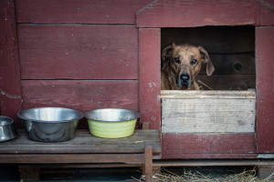 Svatba Zuzka & Roman